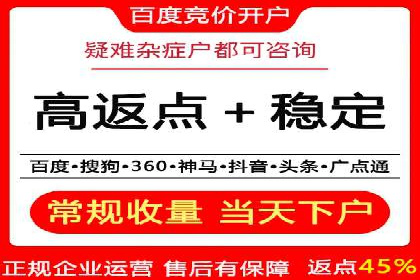 SEM优化策略案例分析